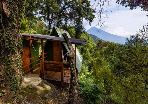 una pequeña cabaña en medio de un bosque en Earth Lodge, en Antigua Guatemala