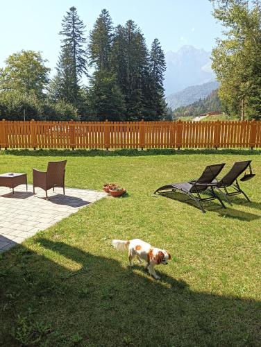 Chalet Relax Molveno – Photos 5