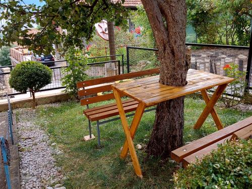 drewniana ławka siedząca obok drzewa w obiekcie Mini Hill w Sarajewie