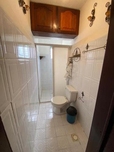 La salle de bains blanche est pourvue d'une douche et de toilettes. dans l'établissement Casa guayacan, à Palenque