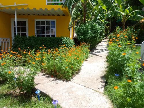 Posada Hostel Adriにある庭