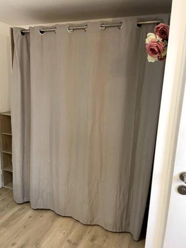 a shower curtain with two roses on top of it at VILLA GABY~ 2 pers ~ Hypercentre in Pau