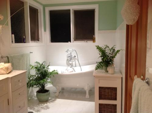 La salle de bains est pourvue d'une baignoire avec deux plantes en pot. dans l'établissement Luxury 4 bedroom house, à Deewhy