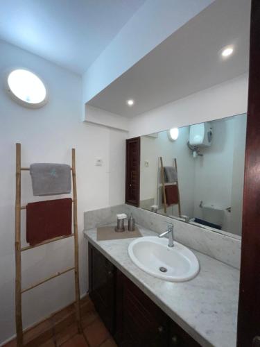 a bathroom with a sink and a large mirror at Ananas Premium in La Trinité