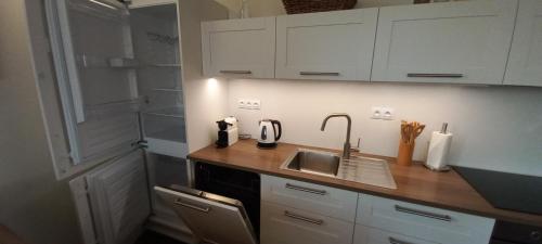 Kuchyň nebo kuchyňský kout v ubytování Apartmány D u sjezdovky - Horní Mísečky