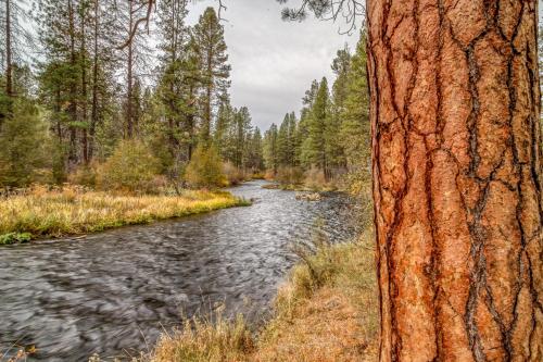 a river in the middle of a forest at Sisters Basecamp - Meredith Lodging in Sisters