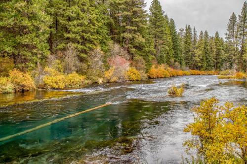 a river in the middle of a forest at Sisters Basecamp - Meredith Lodging in Sisters
