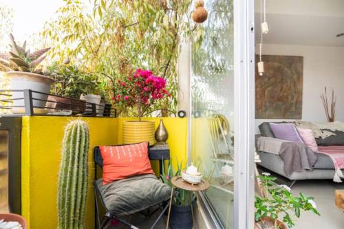 een woonkamer met een cactus en een bank bij Pequeña habitacion FRIDA - design CDMX - áreas comunes compartidas in Mexico-Stad