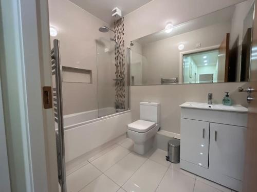 a bathroom with a toilet and a sink and a shower at Coastal Dublin, 4 adult bed spaces+child max in Dublin