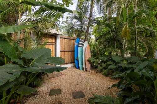 Kebun di luar Blue Surf Sanctuary