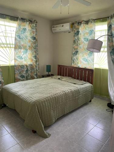 a bedroom with a bed and two windows at Eastside Living "The Sunflower" in Saint Philip