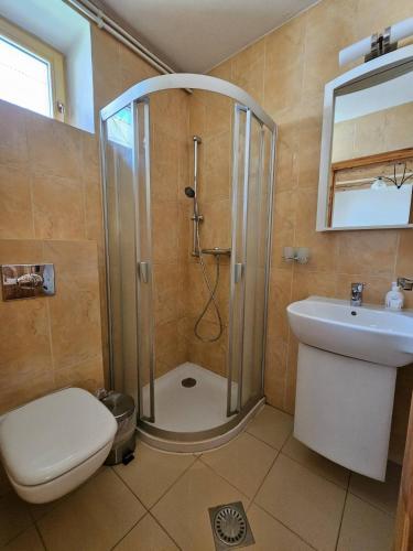 a bathroom with a shower and a toilet and a sink at Penzion pod Krivanom in Liptovský Hrádok