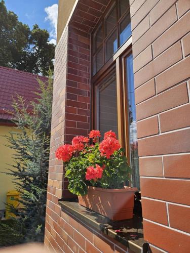 a window box with red flowers on a window sill at Penzion pod Krivanom in Liptovský Hrádok