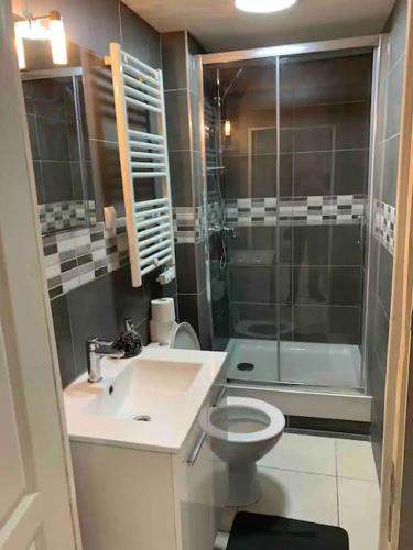 une salle de bain avec une douche, des toilettes et un lavabo dans l'établissement Appartement au cœur de centre-ville de Marseille, à Marseille