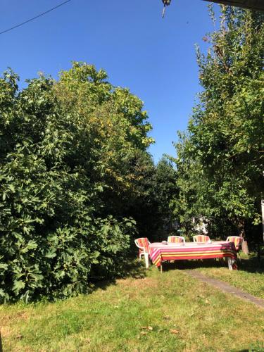 een rode bank in het gras naast de bomen bij Ker Anna in Athis-Mons