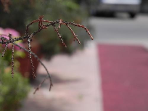 Torreata Hotel & Residence