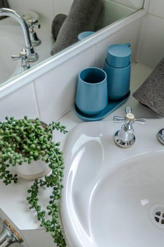 a bathroom sink with a potted plant on top of it at Tyrone Sands Rye in Rye