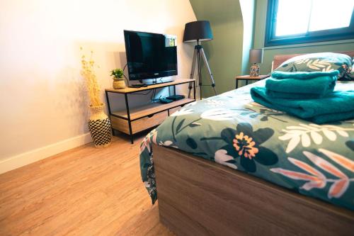 1 dormitorio con 1 cama y TV de pantalla plana en Green cosy, en Louviers