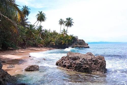 a beach with palm trees and the ocean at El Tucán Feliz - Jungle tiny guest house by Playa Cocles in Cocles