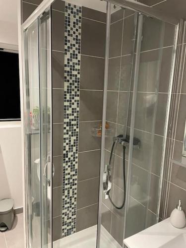 une douche avec une porte vitrée dans une salle de bain dans l'établissement APPARTEMENT CHEZ TRICIA, à Thorigny-sur-Marne