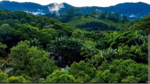 une vue aérienne sur une forêt d'arbres et de montagnes dans l'établissement Sitio do Sol suíte romântica, à Guabiruba