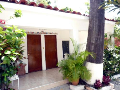 a front door of a house with a palm tree at Hotel Bajo el Volcan in Cuernavaca