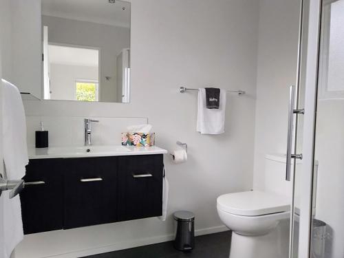bagno con servizi igienici, lavandino e specchio di Hidden Gem a Greytown