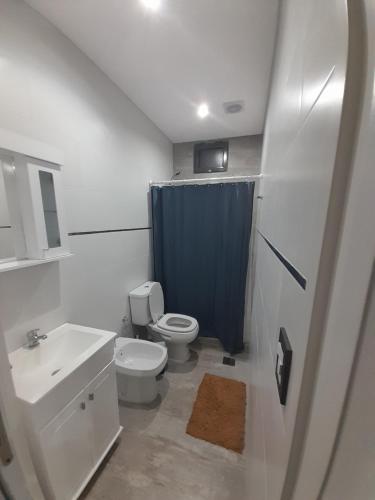 LanúsにあるDepartamento Nuevo y comodo con parkingのバスルーム(トイレ、青いシャワーカーテン付)
