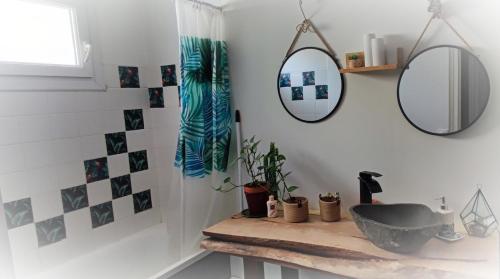 een badkamer met een wastafel en een spiegel bij Cosy confort appart Cognac in Cognac