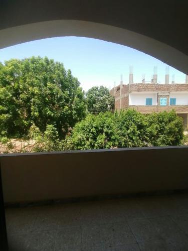 a window with a view of trees and a building at Rose Guest House in Luxor