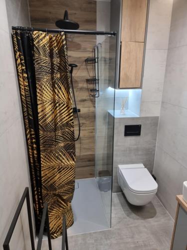 a bathroom with a toilet and a glass shower at Apartament Lux Lemon in Jelenia Góra