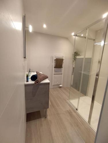 une salle de bain avec une douche, un lavabo et un miroir dans l'établissement Appartement Le palais autun, à Autun