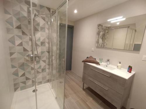 a bathroom with a glass shower and a sink at Appartement Le palais autun in Autun