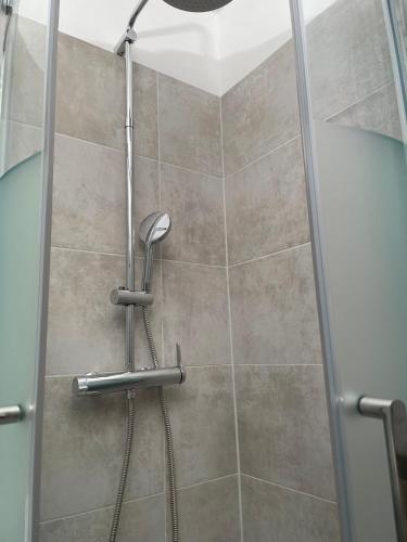 une douche avec pommeau de douche dans une salle de bain dans l'établissement La Foux d'Allos, coquet studio au pied des pistes, à La Foux
