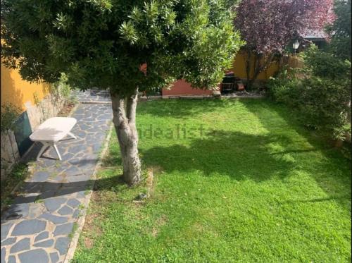 a tree and a white chair in a yard at Casita Roja sin cocina in Cercedilla