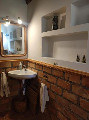 a bathroom with a sink and a mirror at Casita Roja sin cocina in Cercedilla