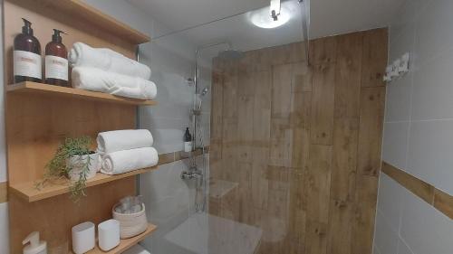 a bathroom with a shower and a glass shower stall at Studio apartman Iskra, self check IN-OUT in Županja