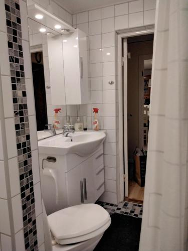 La salle de bains est pourvue de toilettes, d'un lavabo et d'un miroir. dans l'établissement Bo i Trelleborg, à Trelleborg