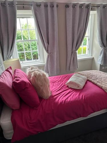 a bedroom with a pink bed with pillows and a window at Cameron Coach House Modern Property in Murrayfield Edinburgh in Edinburgh