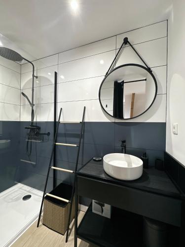 La salle de bains est pourvue d'un lavabo et d'une douche. dans l'établissement Sacré appartement/Jardin/Parking/Wifi, à Rodez