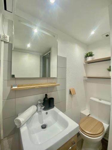 une salle de bain avec un lavabo, des toilettes et un miroir dans l'établissement Le Chaleureux - Studio proche du Jardin Compans, à Toulouse