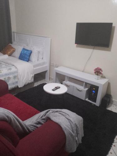 ein Wohnzimmer mit einem Bett und einem TV in der Unterkunft Cool studio in south b Sanasana area in Nairobi
