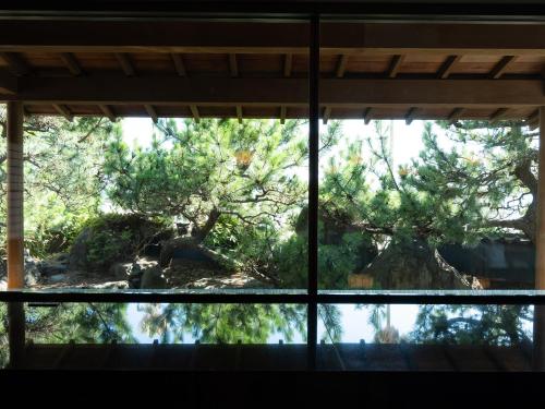 a view through a window of a large tree at 18歳以上の宿 澄江知多 in Utsumi