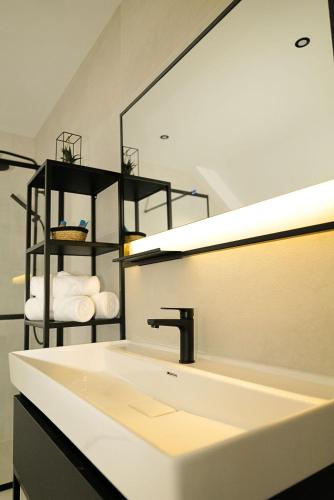 a bathroom with a sink and a mirror at HVN10 - Near Antwerp in Stabroek
