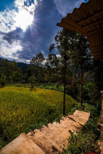 a stone path leading to a field of grass at Đồng Văn Panorama Homestay in Dồng Văn