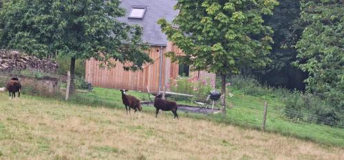 シャレーの敷地内または近くにいる動物