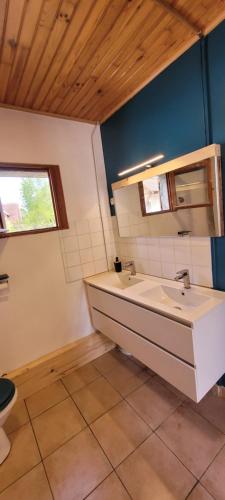 a bathroom with a sink and a toilet at Gîte cozy proche du Zoo de Beauval / Châteaux de la Loire N1 in Selles-sur-Cher