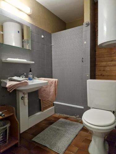 La salle de bains est pourvue de toilettes et d'un lavabo. dans l'établissement Warr'in Durbuy, à Durbuy