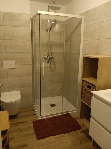 une salle de bain avec une douche avec des toilettes et un lavabo dans l'établissement Maison/appartement proche Cala Rossa, à Lecci
