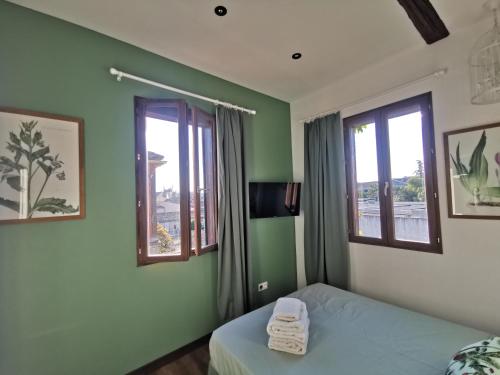 a bedroom with green walls and a bed with two windows at La Terrasse suspendue des Arènes - Une Nuit à Nîmes in Nîmes